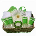 TS1017CucumberMint
