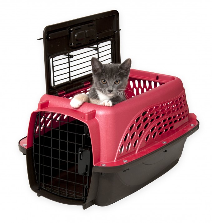Petmate_2 door kennel_rosemary_cat hero 24/7 Moms