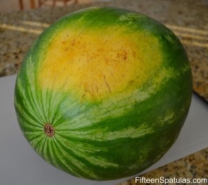 watermelon