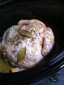chicken