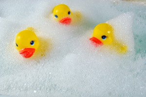 ducks1