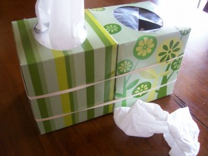 Tissue_Fix1-1024x768