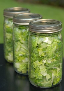 lettucejars-728x1024
