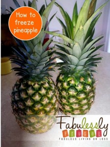 freeze-pineapple-225x300