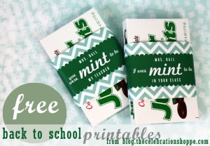 mint-teacher-1-300x208