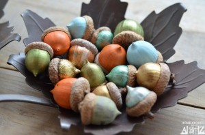 acorns-painted