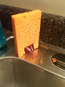 sponge