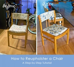 repulster-300x270
