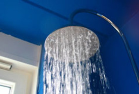 shower-head