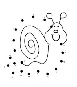 snail