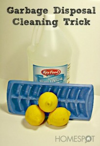 garbage-disposal-cleaning-s