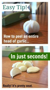 garlic