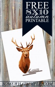 deer-artr-191x300