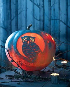 owl
