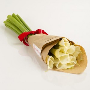 BloomsyBox-1-300x300 (1)