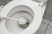 Brushing the toilet