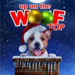 WOOFTOP_FINAL_KA-2-1MB-213x300