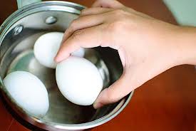 egg4
