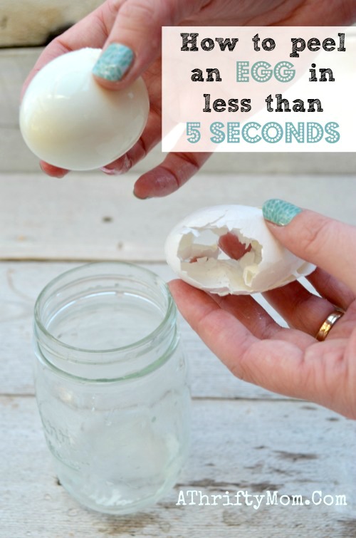 egg