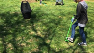 Weed Zinger
