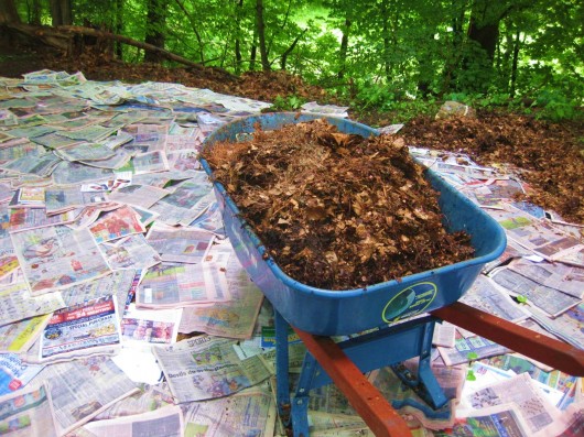 newspaper mulch
