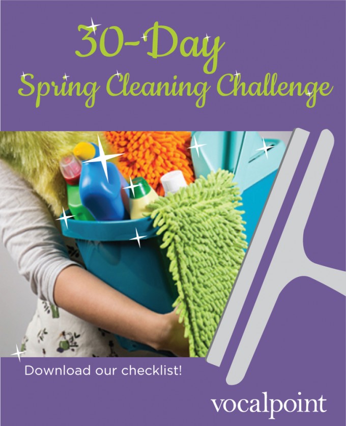 vp_cleaningpin