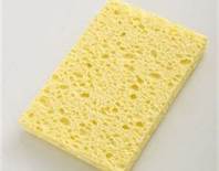 sponge
