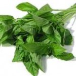 basil-150x150