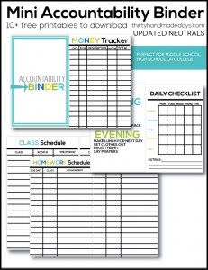 miniaccountabilitybinderneutrals-231x300