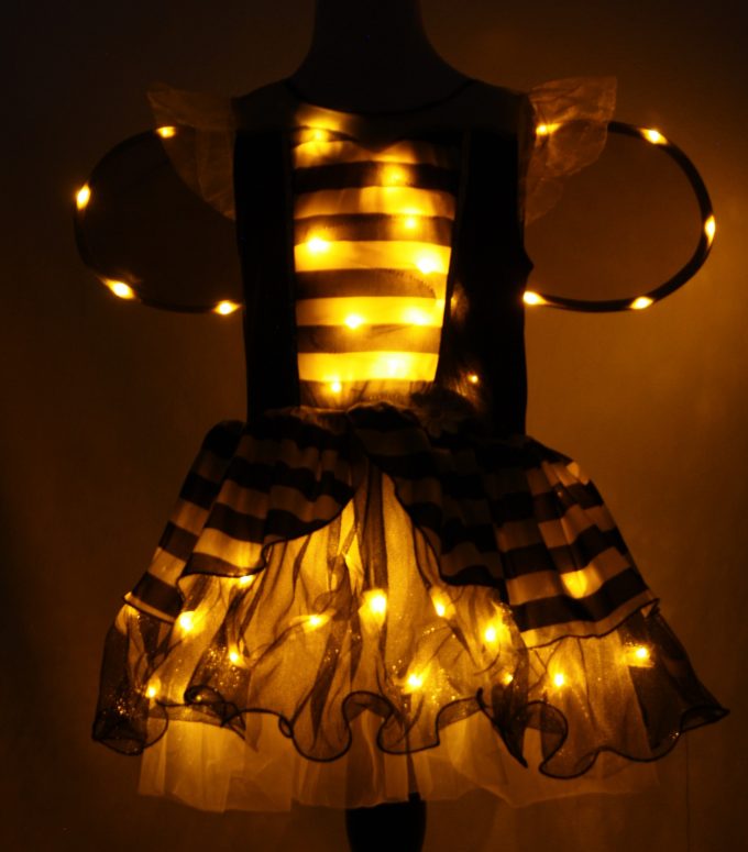 Bubble Bee Front in Dark