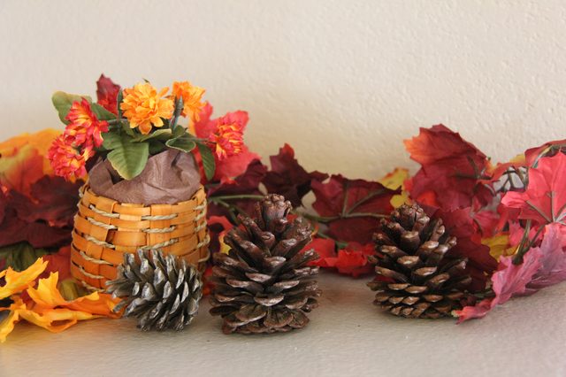 pinecones