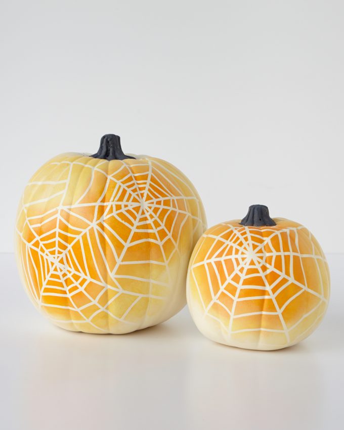 spider-web-pumpkin-beauty-1-1014_vert