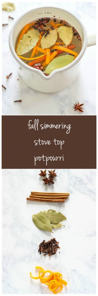 Fall-Simmering-Stove-Top-Potpourri-by-TheCasualCraftlete.com_