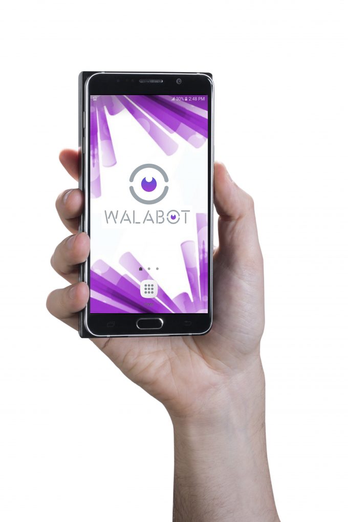 WalabotDIY2